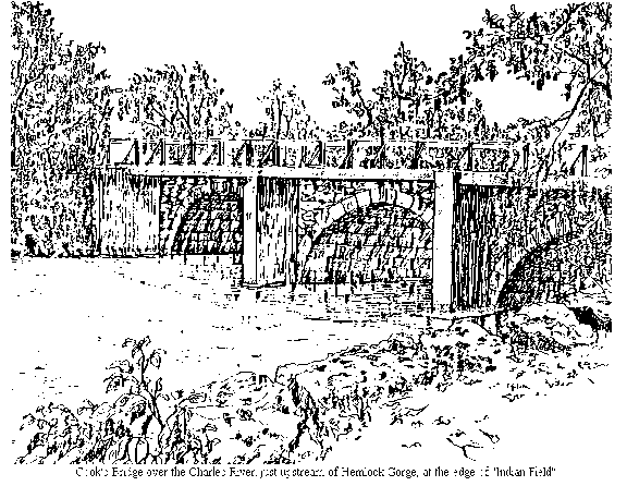 Cook Bridge upstream of Hemlock Gorge at the Edge of Indian Field