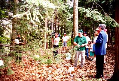 General overview of the release on the Needham side of the Reservation. Forester Burnham in green and Site Supervisor Kevin Hollenbeck at the extreme left are releasing the insects. The WBZ cameraman is in the center.
