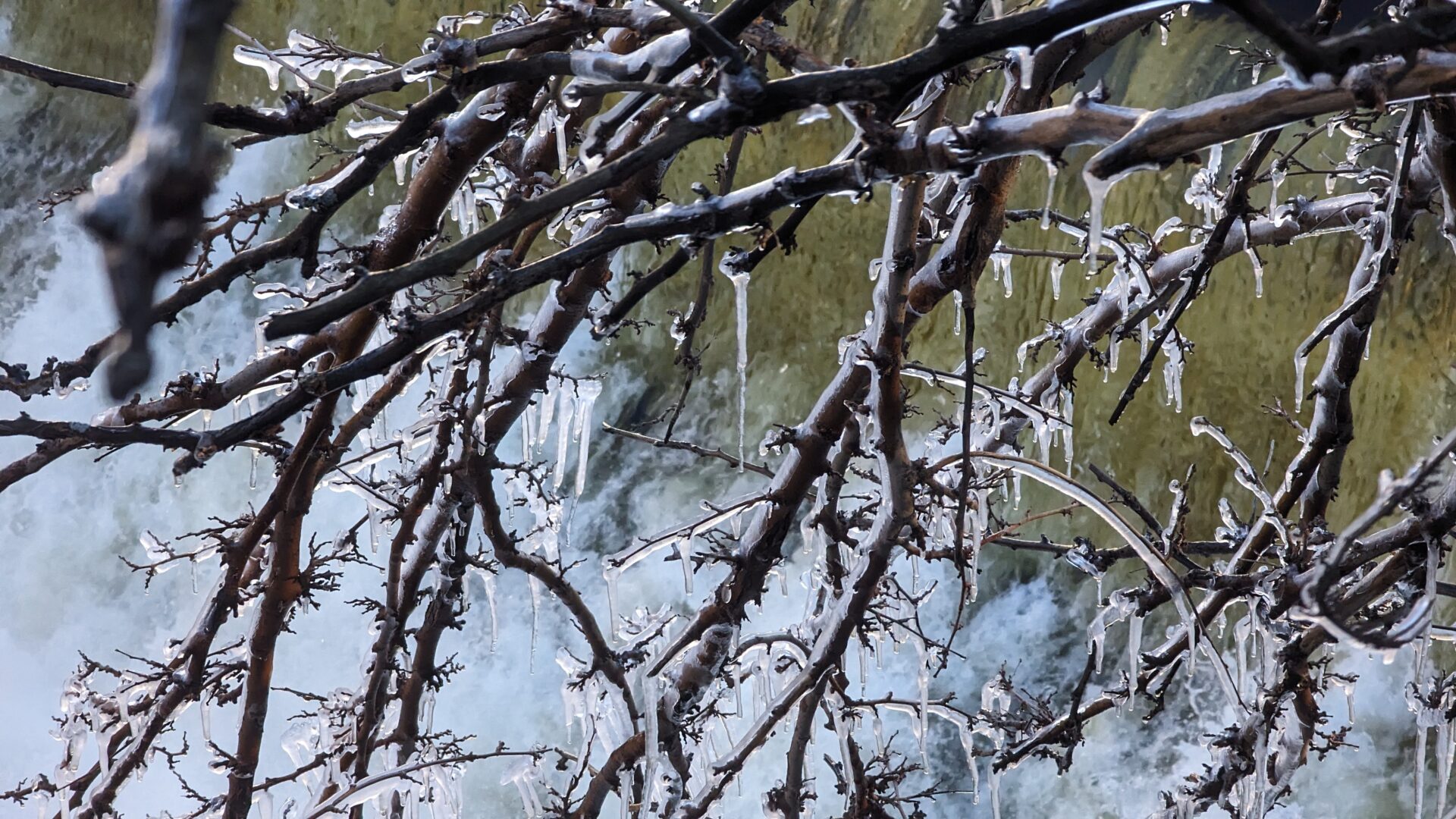 Hemlock Gorge in the Winter